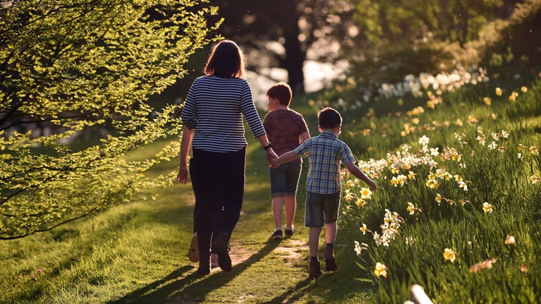 A family walk along a grassy path surrounded by daffodils
